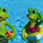 frog, swim, vacations